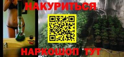 сатива Моздок