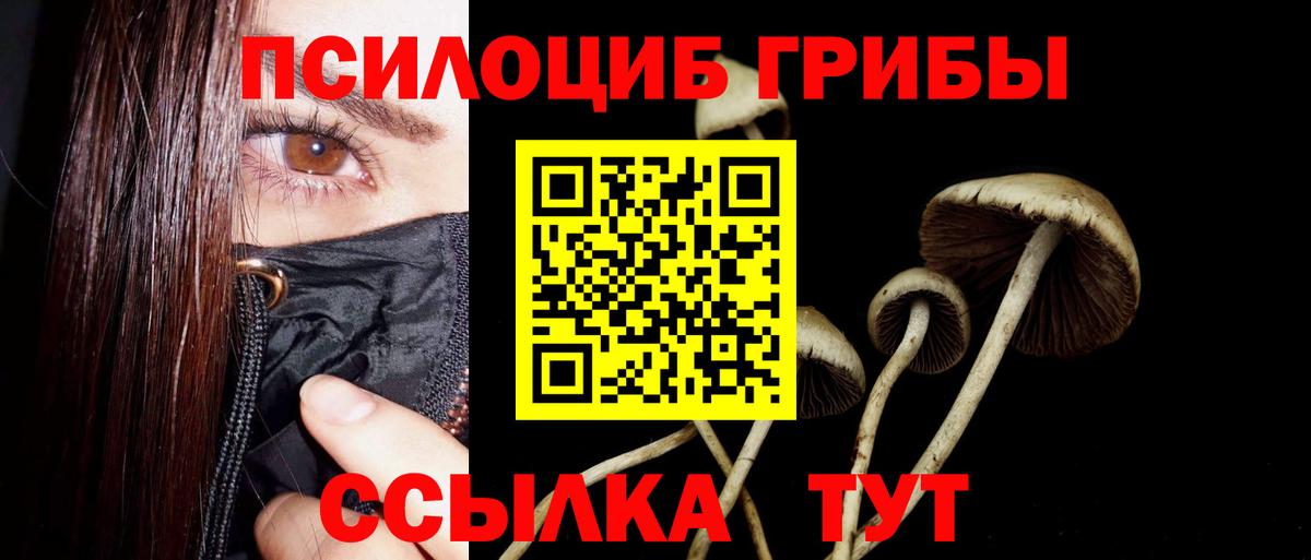 Галлюциногенные грибы MAGIC MUSHROOMS Дубна